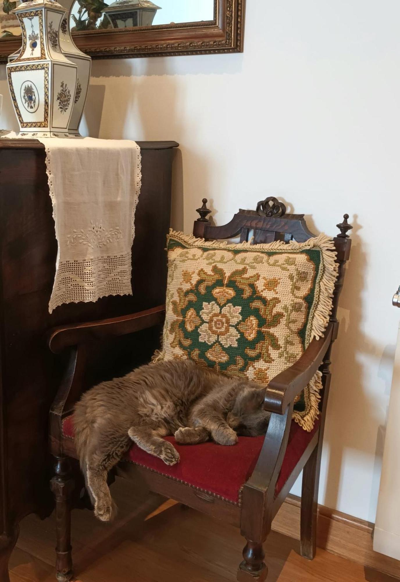 페소다레과 Casa De Sao Domingos B&B 외부 사진